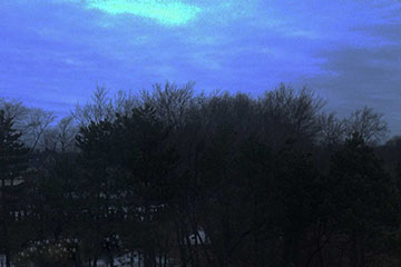 Evening view from Rosewood window