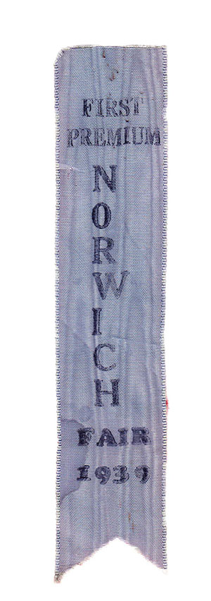 Plat map of Kingman, Kansas